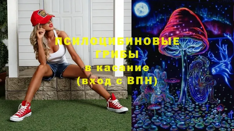 MEGA зеркало  Красноярск  Псилоцибиновые грибы Psilocybine cubensis 